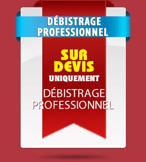 Tarifs débistrage professionnel